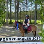 Profile Picture of Lisa Bernhold (@Lisa-Bernhold) on Facebook