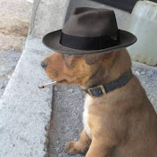 Claudio Rivera - Youtube Profile Picture of Claudio Rivera (@claudiorivera5666) on Youtube