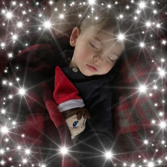 Emmet's rat Joe-sue - Poshmark Profile Picture of Emmet's rat Joe-sue (@f2531serv) on Poshmark