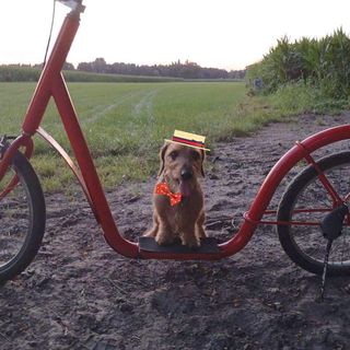 Profile Picture of Esther GrootersColin (@esther.grooters) on Facebook