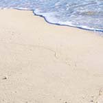 Profile Picture of EarlMcBride (@earlmcbrider) on Instagram