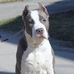 Profile Picture of Americki Staford (@__americki_staford__) on Instagram