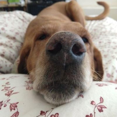 Profile Picture of Andy, Still Dangerous 🤘 (@southwesterlies) on Twitter