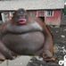 Profile Picture of Randel Smith (@randel.smith.9659) on Facebook