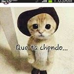 Profile Picture of evangelista_giselamoore (@la_evangelista_giselamoore) on Instagram