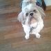 Profile Picture of Harry Apfelbaum (@harry.apfelbaum.7) on Facebook