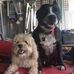 Profile Picture of Scott Mather (@scott.mather.1656) on Facebook