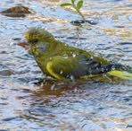 Profile Picture of Michael Teman (@Michael-Teman) on Facebook