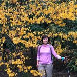 Profile Picture of Cindy Luong (@xuluong) on Instagram