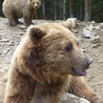 Profile Picture of Bogdan  Levchenko (@levchenkobogdan) on Instagram