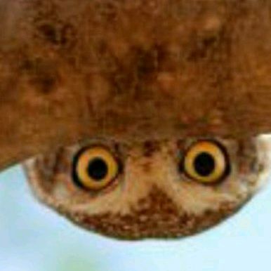 Profile Picture of Matt Burkinshaw (@matt_burkinshaw012) on Tiktok