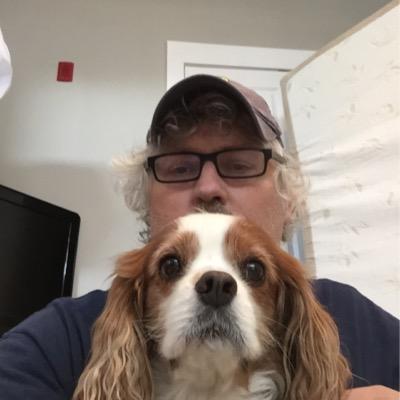 Profile Picture of Steve Swayne (@sevetsart) on Twitter