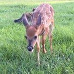 Profile Picture of Glenn Voges (@gvoges1) on Instagram