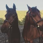 Profile Picture of Dena Roberts (@dena.roberts.92505) on Facebook