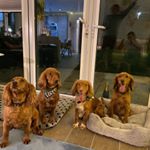 Profile Picture of Jo Wyeth (@jowyeth) on Instagram