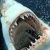 Profile Picture of John Jelinski (@johnjelinski9) on Pinterest