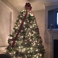 Profile Picture of Debbie Levy Thompson (@debbie-levy-thompson) on Quora