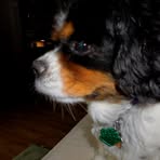 Profile Picture of Michael Moscone (@michael.moscone.39) on Facebook