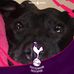 Profile Picture of Darren Keeling (@darren.keeling.146) on Facebook