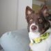 Profile Picture of Nancy Piccoli Pirozzi (@npirozzi) on Pinterest