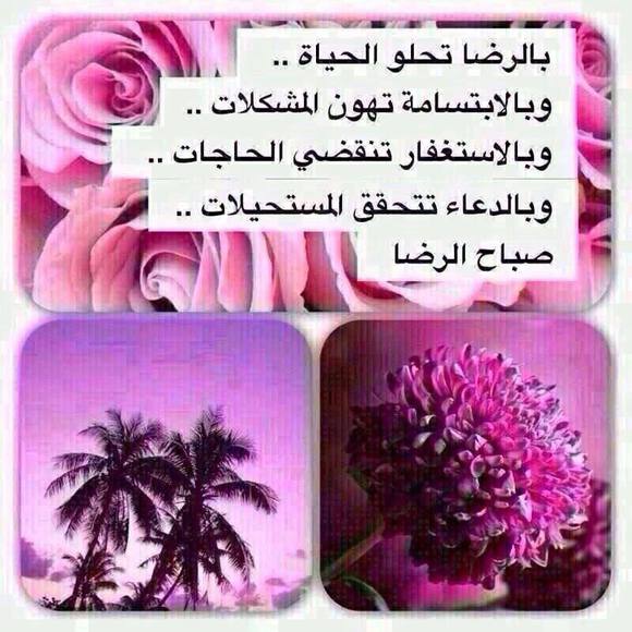 Profile Picture of Fatima Mohamed (@alzahra113) on Poshmark