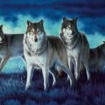 Profile Picture of Jeff Hauff (@jeff.hauff.5) on Facebook