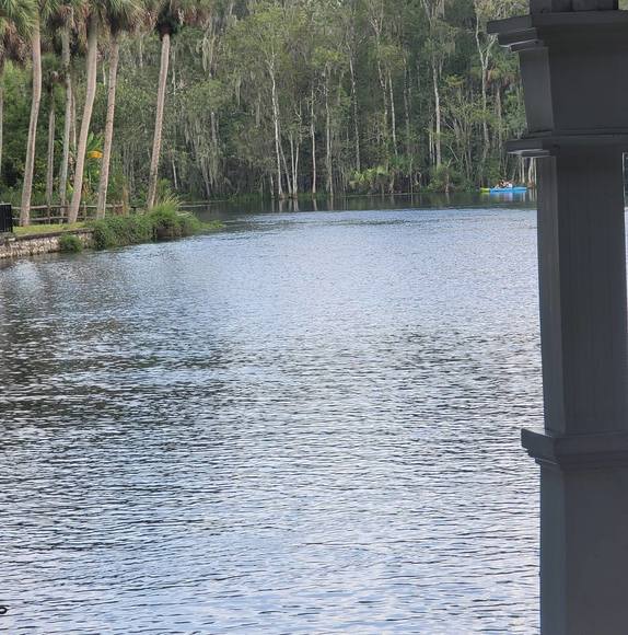 Profile Picture of Daylen Buchillon (@daylenbuchillon) on Poshmark