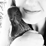 Profile Picture of Margi (Carroll) Jennings (@that_sketchbook_tho) on Instagram