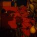 Profile Picture of Oline Anderson (@olineanderson) on Pinterest