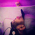 Profile Picture of Dave Sanchez (@davek0m) on Instagram