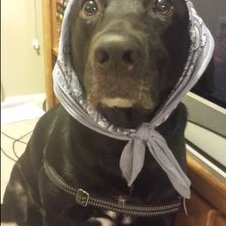 Profile Picture of Christopher Melching (@melchingchris21) on Twitter