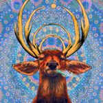 Profile Picture of steven maier (@darealdealorsomethin) on Instagram