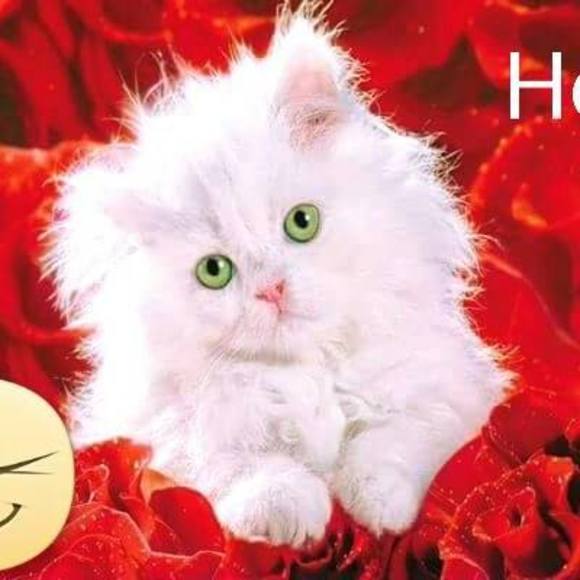 Profile Picture of Patin Patin (@patinpatin) on Poshmark