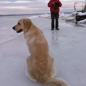 Glen McCune - Twitter Profile Picture of Glen McCune (@glen_mccune) on Twitter