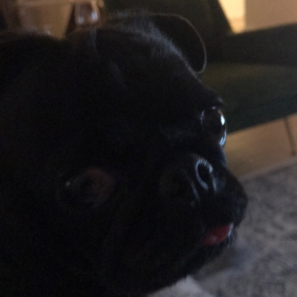 Profile Picture of Mark Allsopp (@meallsopp) on Poshmark