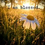 Profile Picture of Sheree Adams (@sheree_blankinship_adams) on Instagram