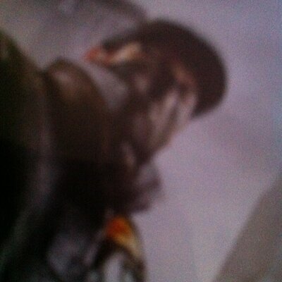 Profile Picture of Larry The Hacker (@hackerlarry231) on Twitter