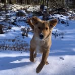 Profile Picture of Karl Calhoun (@karl.calhoun.902) on Facebook