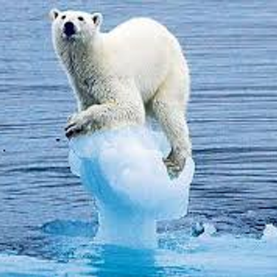 Profile Picture of Blake Connors (@BlakeConnors87) on Twitter