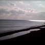 Profile Picture of tf6ht8xv (@@tf6ht8xv) on Tiktok