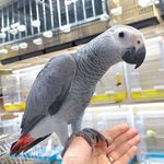 Profile Picture of Michael Houghton (@ah.med1374) on Instagram