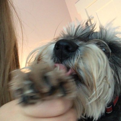 Profile Picture of Emily Cikity (@ECikity) on Twitter
