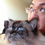 Profile Picture of Michael Kwan (@littlepiggyno1) on Youtube