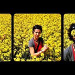 Profile Picture of Amanda Dwires (@wonderwoman789) on Instagram