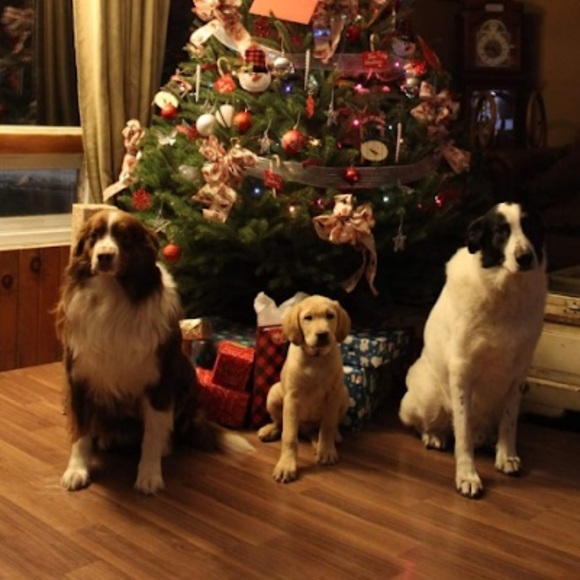 Collin Kellert - Poshmark Profile Picture of Collin Kellert (@collinkellert) on Poshmark