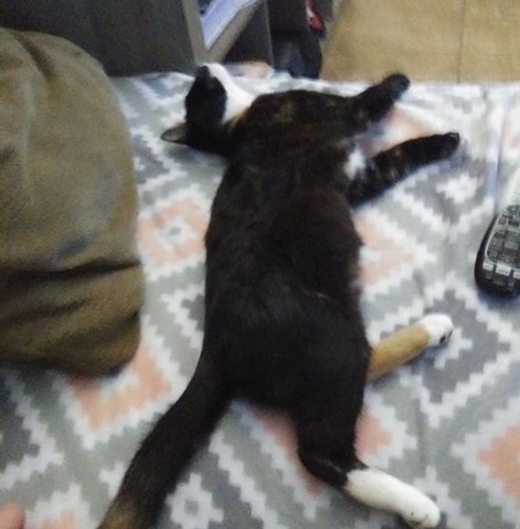 Profile Picture of Nathaniel Hall (@nathanilehall) on Poshmark