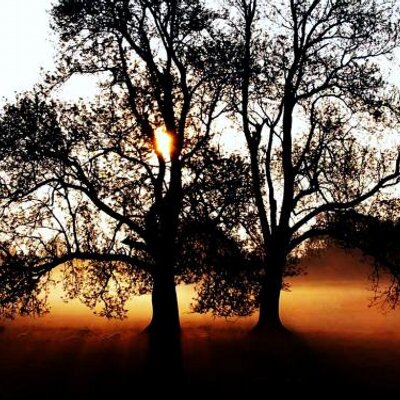 Profile Picture of Dylan Walter White (@dylanwhite1234) on Twitter