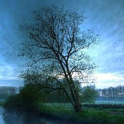 Profile Picture of Eboni F. Botsford (@MichaelJClemen1) on Twitter