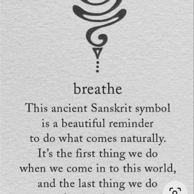 Profile Picture of Susan Pitlosh-Knapp (@zap44) on Pinterest