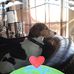 Profile Picture of Max MacDonald (@max.macdonald.319) on Facebook